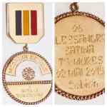 Medalia de Aur a Artelor Transilvane